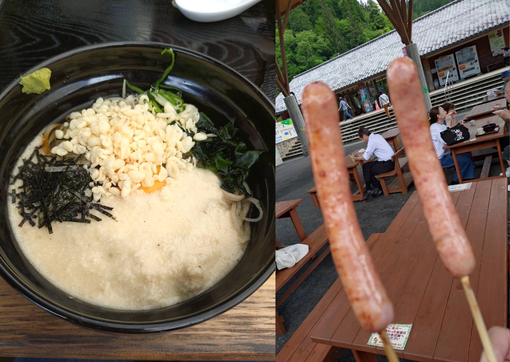 どんぐりの里